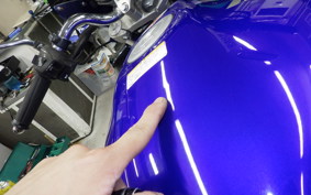 HONDA HORNET 250 2019 MC31