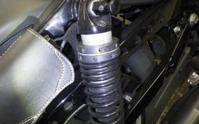 HARLEY XL883N 2019
