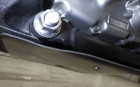 YAMAHA WR250X 2022 DG15J