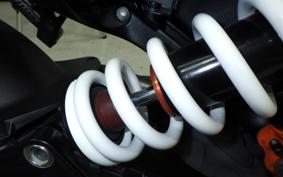 KTM 390 DUKE 2024