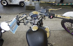 YAMAHA VIRAGO 250 3DM