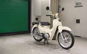 HONDA C110 SUPER CUB 2021 JA59
