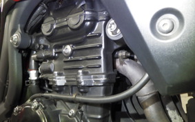 TRIUMPH TIGER 1050 2013