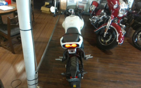 OTHER CFMOTO XO-1 PAPIO