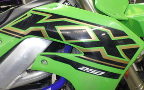 KAWASAKI KX250 2007 KX252C