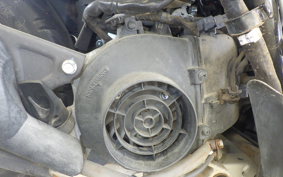 HONDA DIO Gen.6 AF68