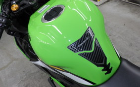 KAWASAKI ZX-4RR 2024 ZX400P