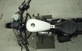 HARLEY XL1200XS 2019