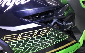 KAWASAKI NINJA 250 2 EX250P
