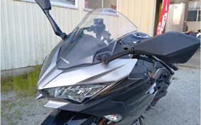 KAWASAKI NINJA 250 EX250P