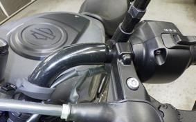 HARLEY RH975 2023