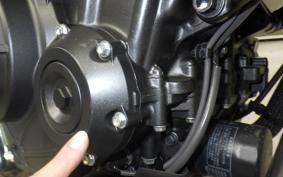 HONDA NX400 2025 NC65