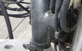 YAMAHA VIRAGO 250 3DM