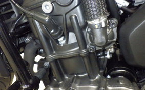 HONDA REBEL 1100 DCT 2021 SC83