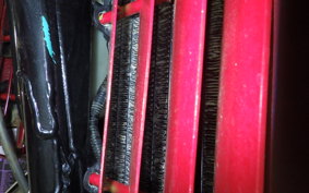 KAWASAKI KDX125 SR 2025 DX125A