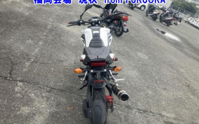HONDA GROM