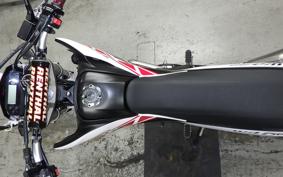 YAMAHA WR250X 2009 DG15J