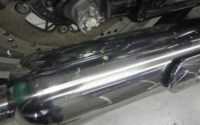 KAWASAKI W800 STREET 2022 EJ800E