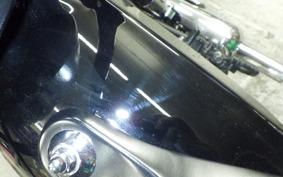 KAWASAKI W800-2ｽﾄﾘｰﾄ 2021 EJ800E