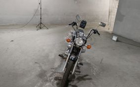 YAMAHA VIRAGO 250 3DM