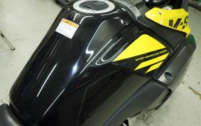 SUZUKI V-STROM 250