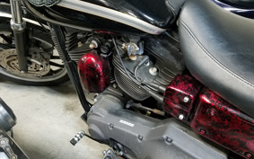 HARLEY FXDL 100th 2003 GDV