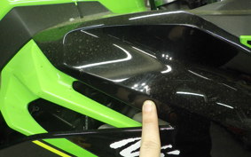 KAWASAKI NINJA 400 2019 EX400G