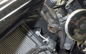 YAMAHA MT-25 2005 RG43J