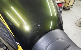 KAWASAKI Z900RS 2019 ZR900C