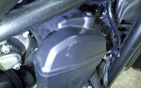 HONDA REBEL 1100 TD 2023 SC83