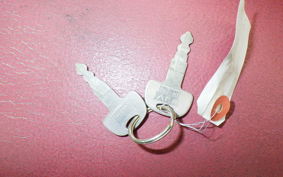 HONDA MONKEY BAJA 1994 Z50J