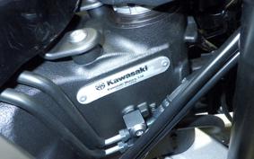KAWASAKI NINJA 1000SX 2024 ZXT02K