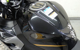 KAWASAKI NINJA 250 EX250P