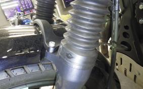 OTHER +ENFIELD ｽｸﾗﾑ411 2024