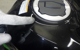 KAWASAKI NINJA ZX-6R A