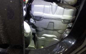 HONDA CRF250 RALLY A 2011 MD44