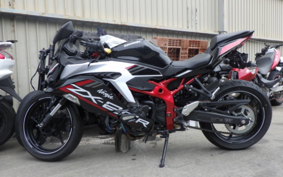 KAWASAKI ZX-25R ZX250E