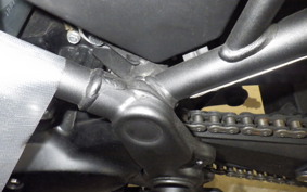 KAWASAKI Z900RS CAFE 2023 ZR900K