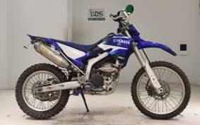 YAMAHA WR250R 2023 DG15J