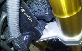 BMW G310R 2023
