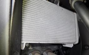 YAMAHA YZF-R25 RG43J