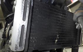 HONDA HORNET 250 MC31