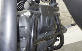 OTHER +ENFIELD ﾒﾃｵ350 2022