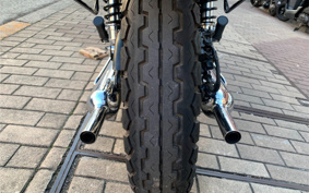 KAWASAKI W800 CAFE 2021 EJ800B