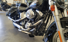 HARLEY FLSTC 2013 BW5