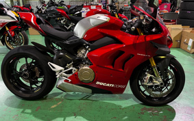 DUCATI PANIGA-REV4R 2019 DA04