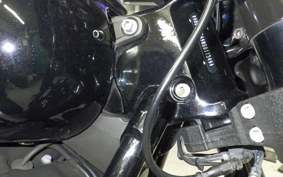 HARLEY FXLRS1920 2022