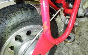 HONDA MONKEY 2024 Z50A