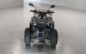 OTHER  BUGGY 50CC ..