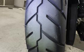 HARLEY XL883N 2021